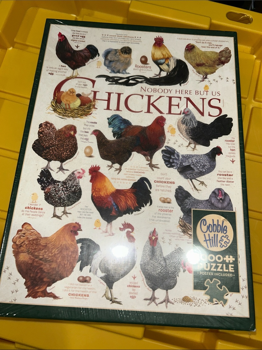 New! Cobble Hill chickens jigsaw puzzle